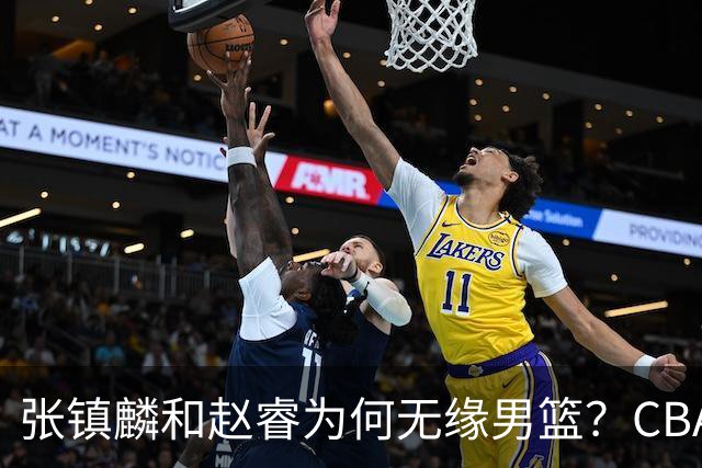 张镇麟和赵睿为何无缘男篮？CBA名记分析，道出2个原因